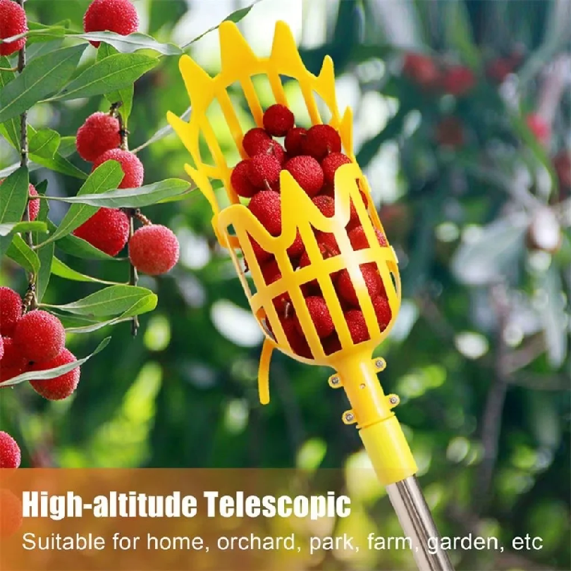 Farm Garden Picking Tools Frui - مراجعة Gardening Tools Basket وسعره