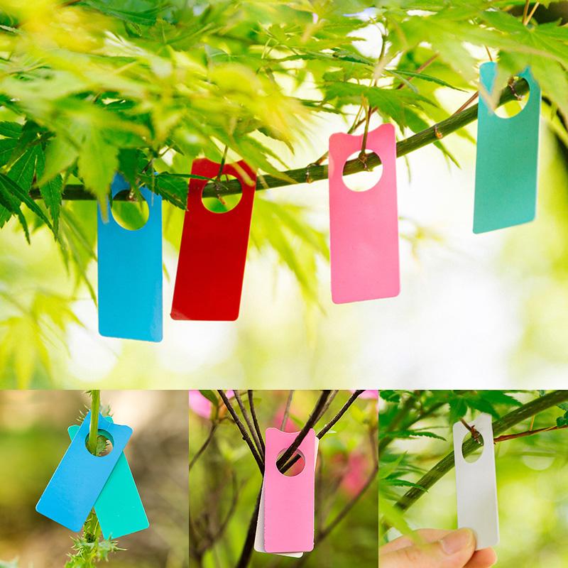 100Pcs Multifunction Plastic T - مراجعة Plant Label Tags وسعره