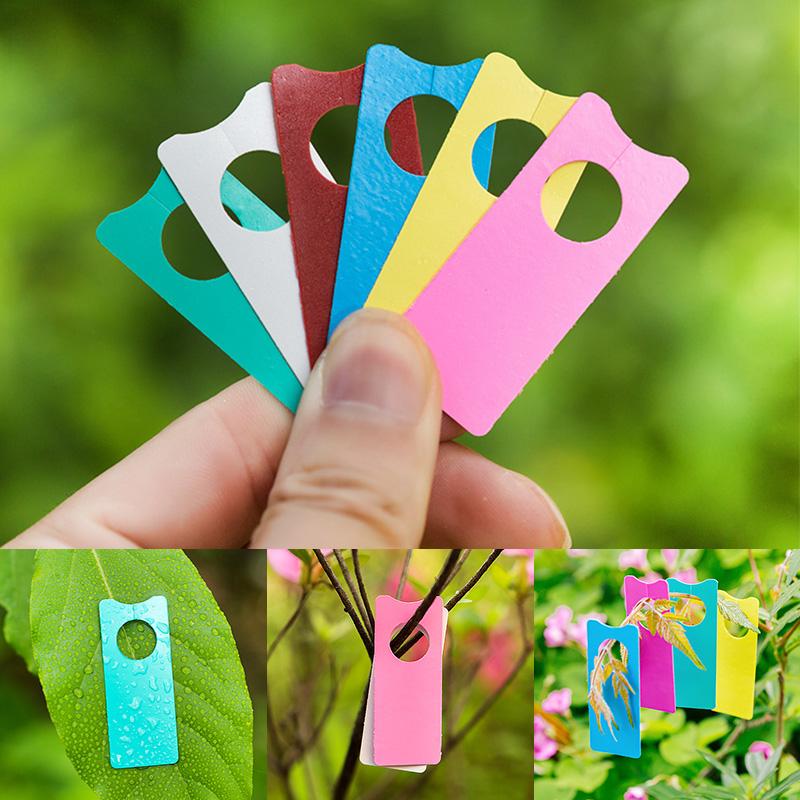 100Pcs Multifunction Plastic T - مراجعة Plant Label Tags وسعره