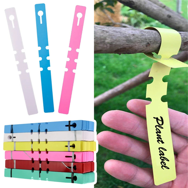100-200pcs Waterproof Plant Ma - مراجعة Plant Label Tags وسعره