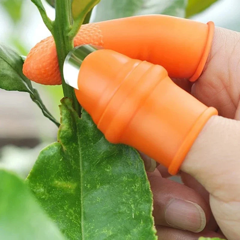 Thumb Knife Vegetable Picking  - مراجعة Gardening Tools Knife وسعره