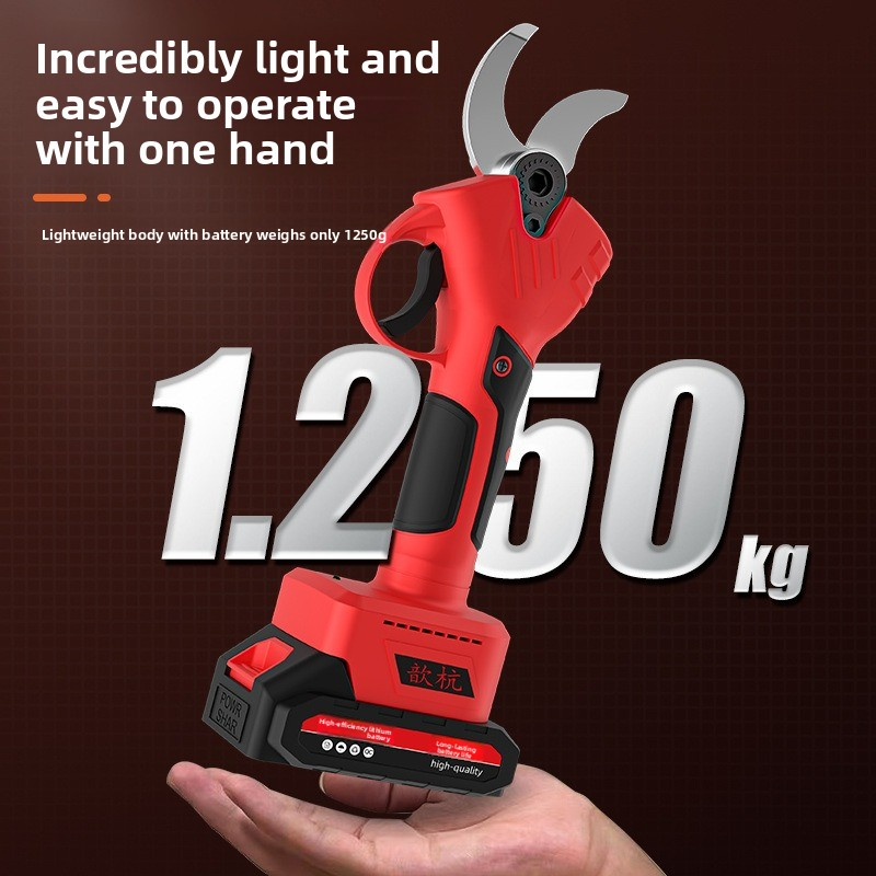 Rechargeable Lithium Battery E - مراجعة Gardening Tool Diy وسعره