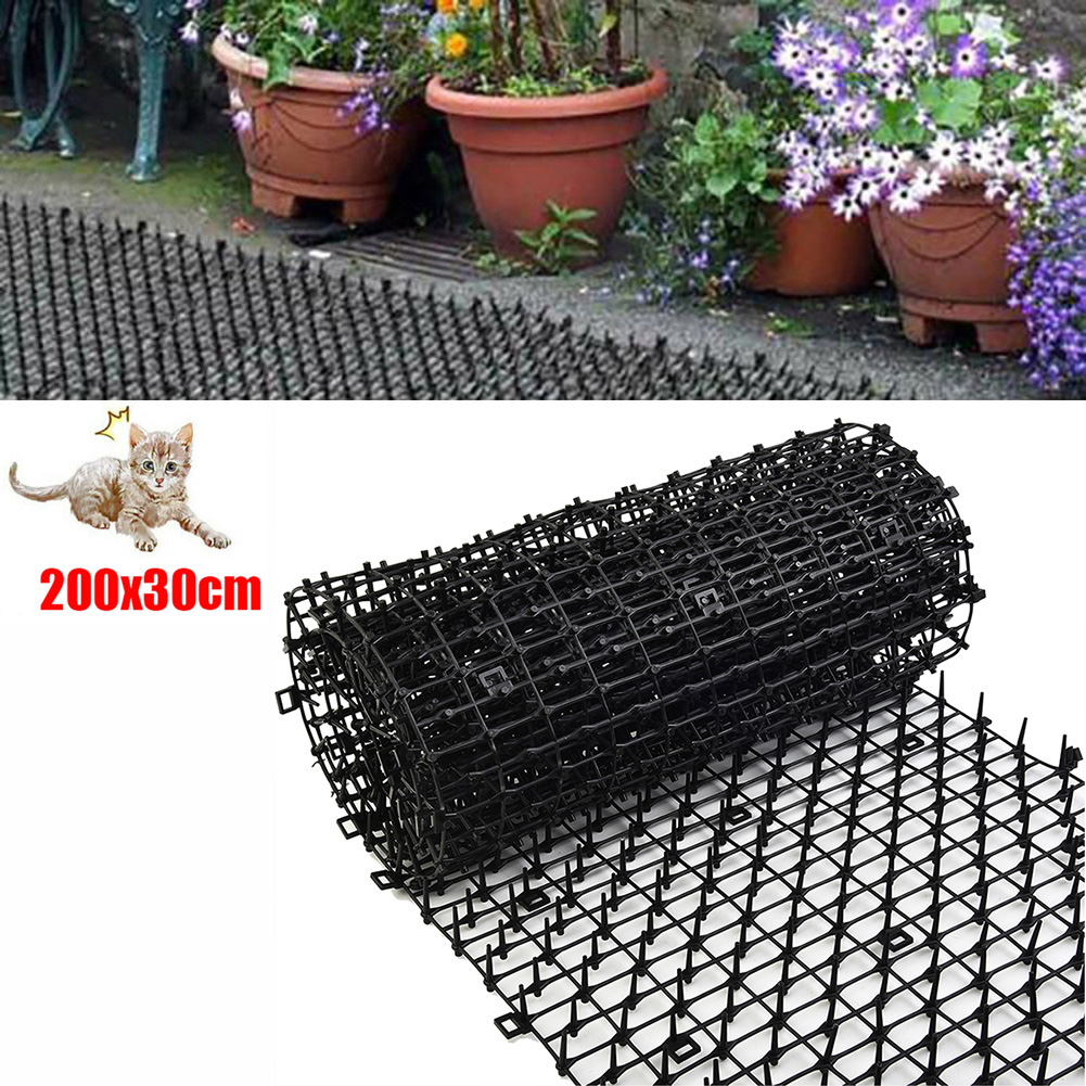 2M Gardening Pest Dog Cat Scat - مراجعة Gardening Tools For Digging وسعره