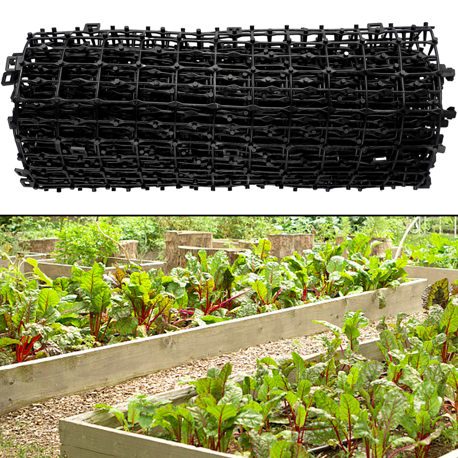 2M Gardening Pest Dog Cat Scat - مراجعة Gardening Tools For Digging وسعره