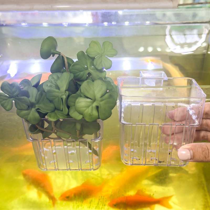 1/5pcs Aquarium Decoration Pla - مراجعة Aquaponics Fish Tank وسعره