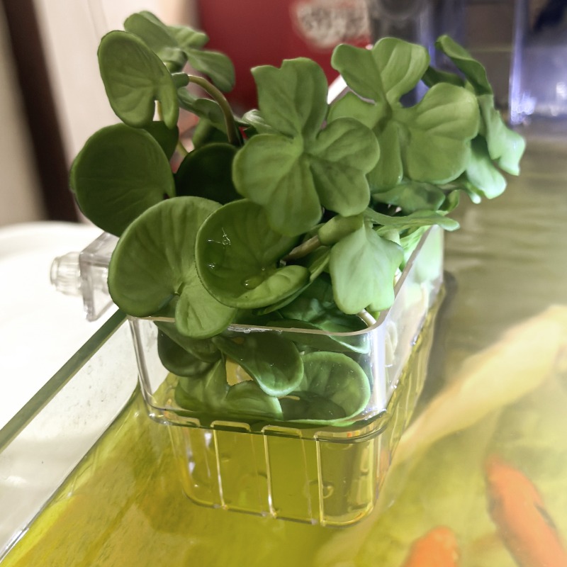 1/5pcs Aquarium Decoration Pla - مراجعة Aquaponics Fish Tank وسعره