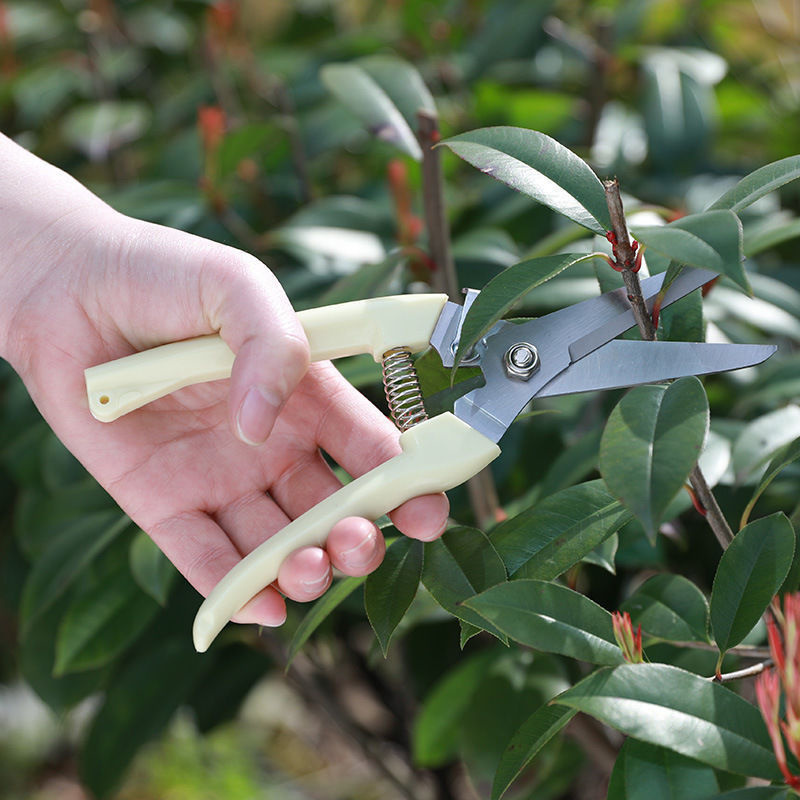 1PC Stainless Steel Pruning Sc - مراجعة Garden Hand Trowel وسعره