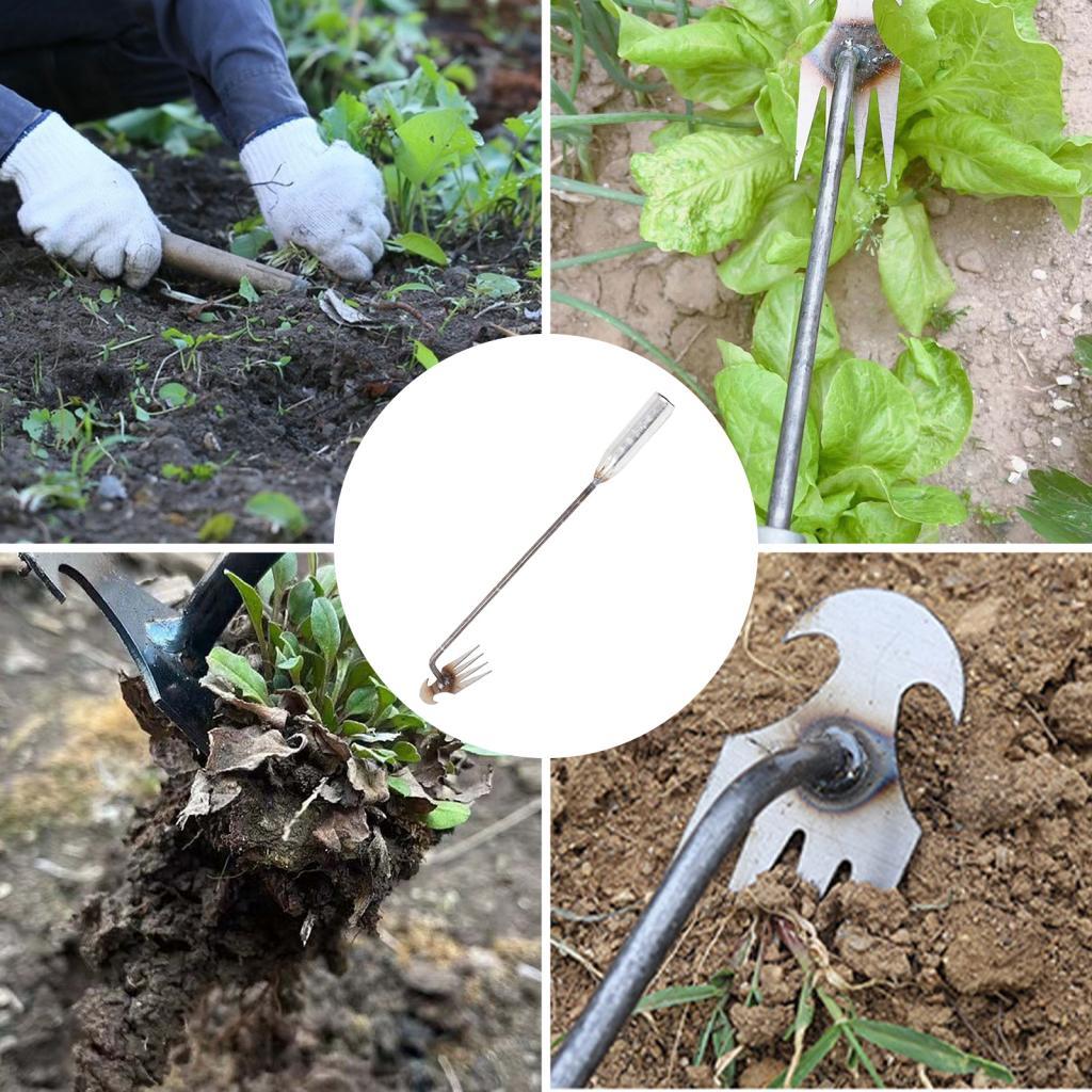 Garden Weeding Tool Gardening  - مراجعة Gardening Tools For Digging وسعره