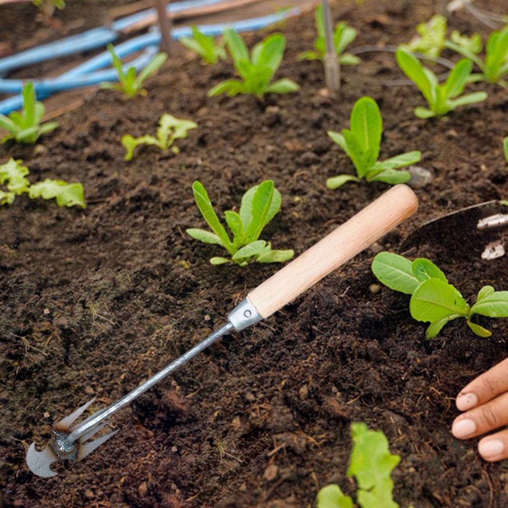 Garden Weeding Tool Gardening  - مراجعة Gardening Tools For Digging وسعره