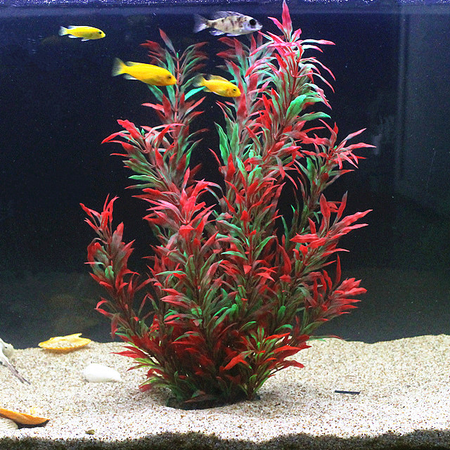 50CM Artificial Fish Tank Rare - مراجعة Aquaponics Fish Tank وسعره