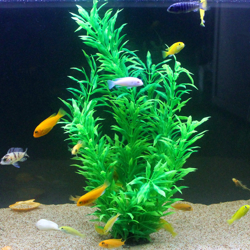 50CM Artificial Fish Tank Rare - مراجعة Aquaponics Fish Tank وسعره
