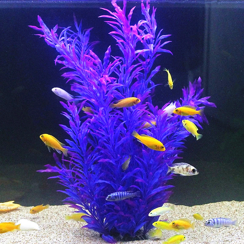 50CM Artificial Fish Tank Rare - مراجعة Aquaponics Fish Tank وسعره