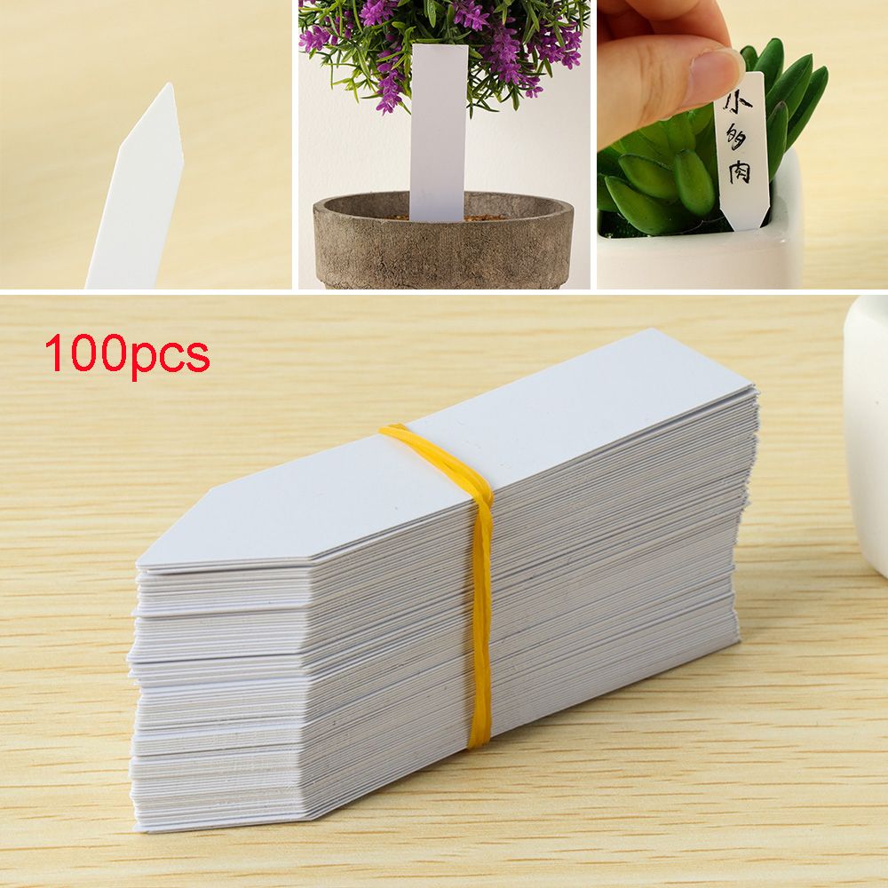 100Pcs Reusable Classification - مراجعة Plant Label Tags وسعره