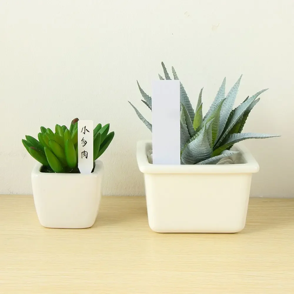 100Pcs Reusable Classification - مراجعة Plant Label Tags وسعره