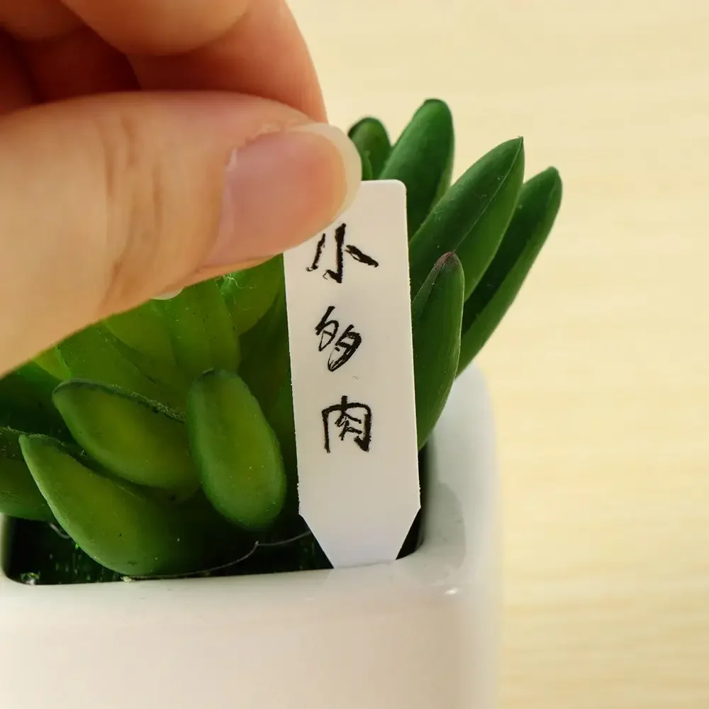 100Pcs Reusable Classification - مراجعة Plant Label Tags وسعره