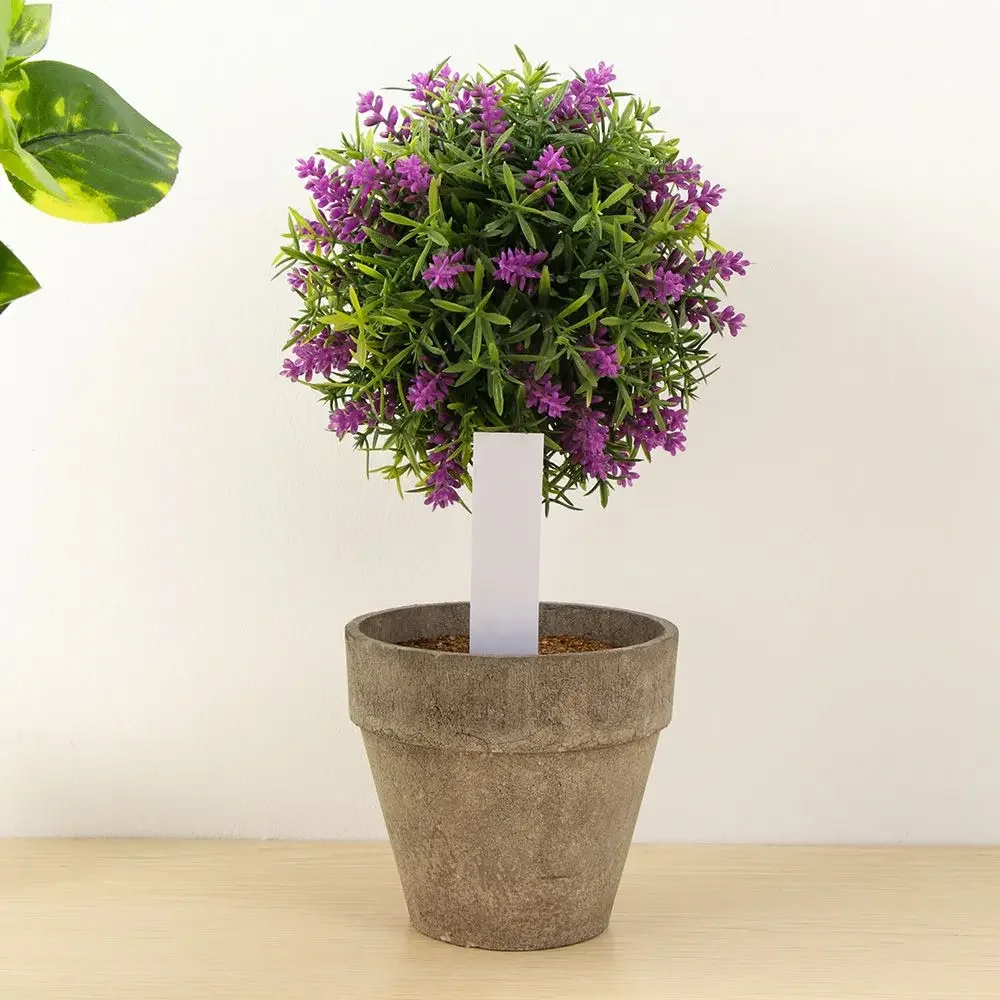 100Pcs Reusable Classification - مراجعة Plant Label Tags وسعره