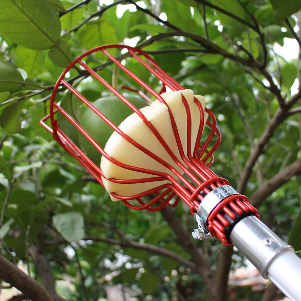 Metal/Plastic Fruit Picker Hea - مراجعة Gardening Tools Hand وسعره