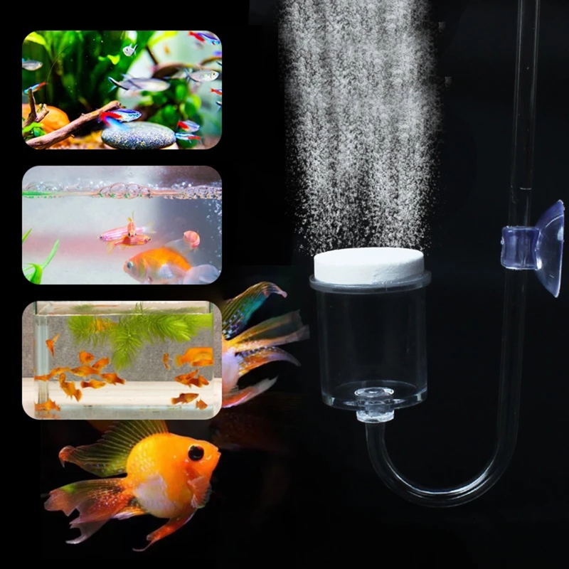 4pcs Set DIY CO2 Diffuser For  - مراجعة Aquaponics Fish Tank وسعره