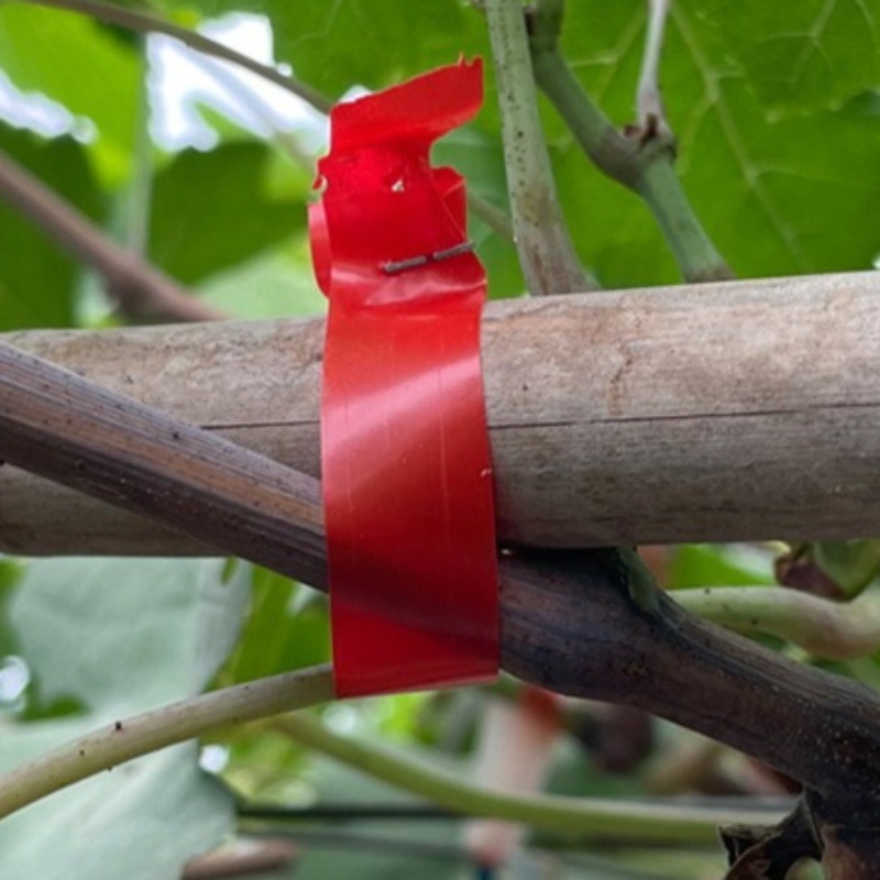 Grape Branch Binding Machine S - مراجعة Gardening Tools Hand وسعره