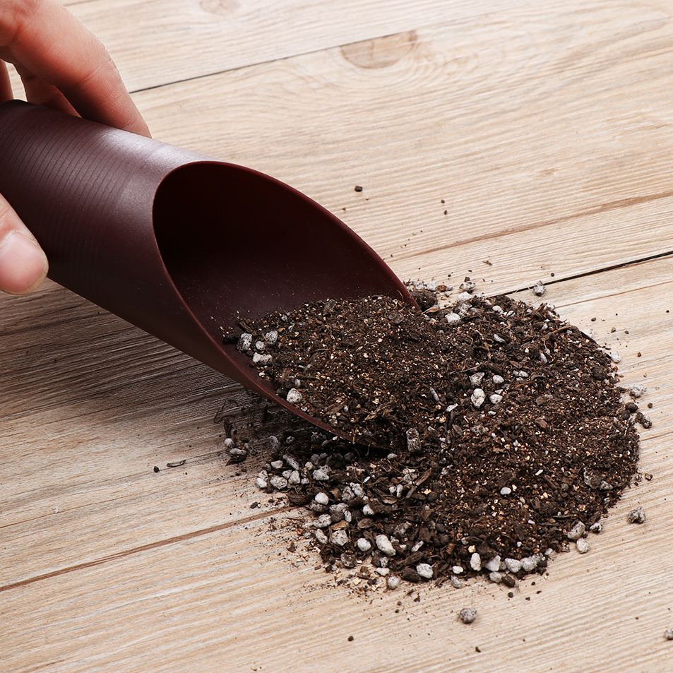 1PC Plastic Soil Shovel Cup Fo - مراجعة Gardening Tools Hand وسعره